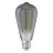 Ledvance Vintage 1906 LED E27 Edison Smoke 11W 500lm - 818 Zeer Warm Wit | Dimbaar - Vervangt 42W